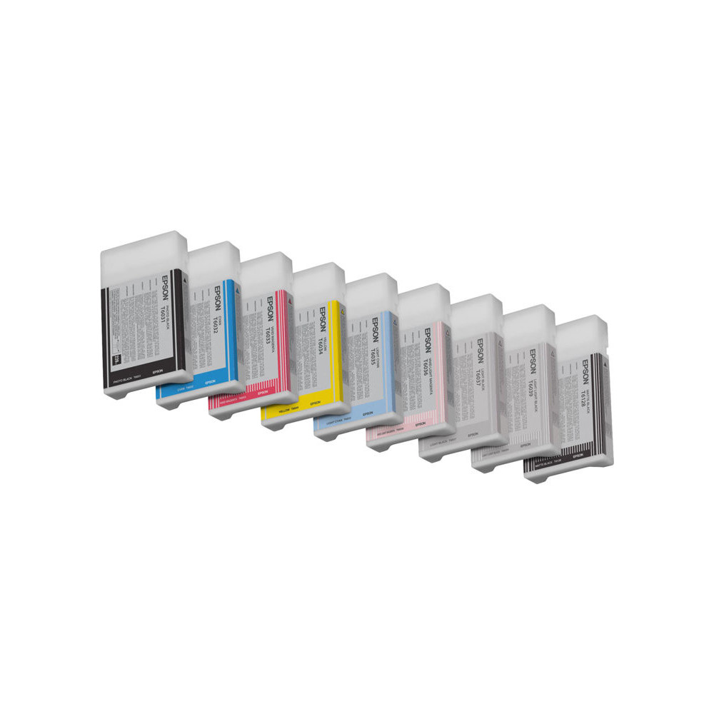 EPSON 5LB T6031 ink cartridge photo black standard capacity 220ml 1-pack