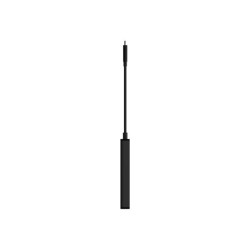 BELKIN Adaptateur USB-C vers HDMI DP DVI ou VGA