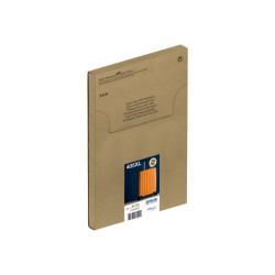 EPSON 2LB Multipack 4colours 405XL EasyMail redeal.fr