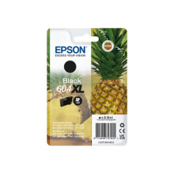 EPSON 4LB Singlepack Black 604XL Ink