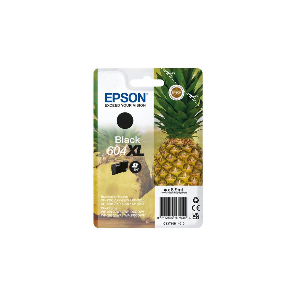 EPSON 4LB Singlepack Black 604XL Ink
