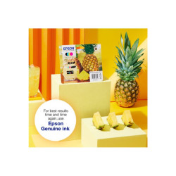 EPSON 4LB Singlepack Black 604XL Ink