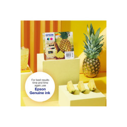 EPSON 1LB Multipack 4colours 604XL Ink w/s