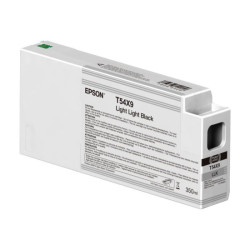 EPSON 1LB Singlepack Light Light Black T54X900 UltraChrome