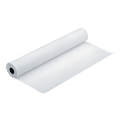 EPSON S041643 Premium semigloss photo  papier inkjet 255g/m2 1118mm x 30.5m 1 rouleau pack de 1