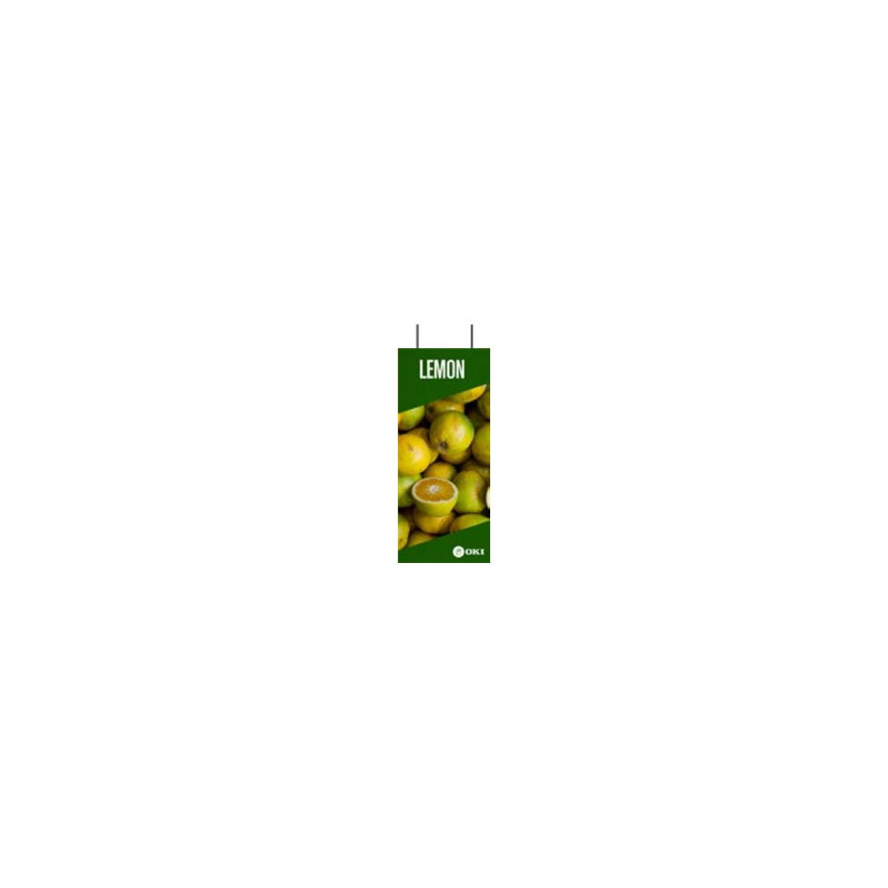 OKI FASTDISP A3 ceiling METAL 30x90CM