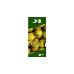 OKI FASTDISP A3 W-mounted METAL 30x120CM