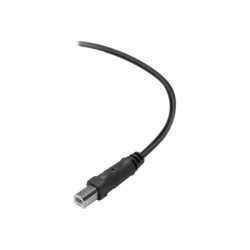 BELKIN USB2.0 A-B Cable 3m redeal.fr