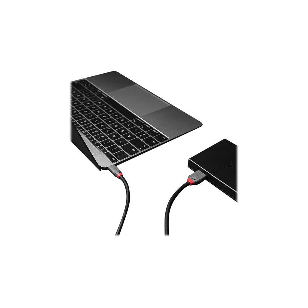 LINDY 1m USB 3.2 Type C to Micro-B Cable Anthra Line redeal.fr