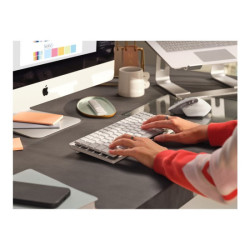 LOGITECH MX Mechanical Mini for Mac Minimalist Wireless Illuminated Keyboard - PALE GREY - (FRA) - EMEA redeal.fr