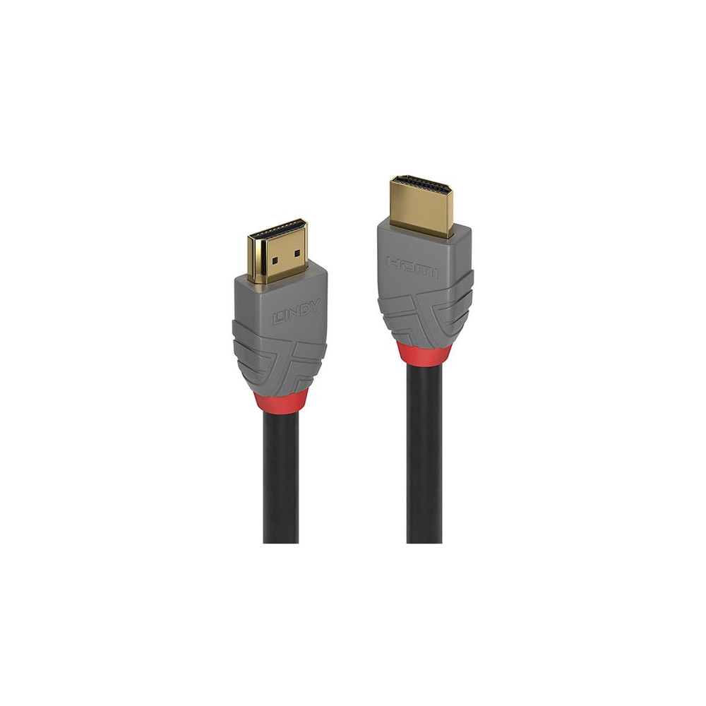 LINDY Câble HDMI High Speed Anthra Line 0.3m redeal.fr