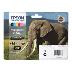EPSON 3LB 24 Ink cartridge black and five colour standard capacity 29.1ml 1-pack RF-AM blister w/s