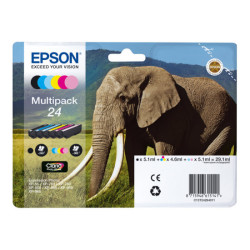 EPSON 3LB 24 Ink cartridge black and five colour standard capacity 29.1ml 1-pack RF-AM blister w/s