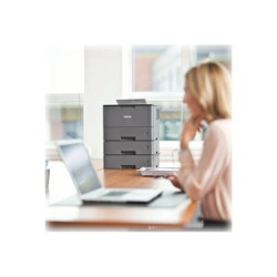BROTHER Bac optionnel 250f HL-L5000D/HL-L5100DW/HL-L5200DW/DCP-L5500DW/MFC-L5700DN/MFC-L5750DW