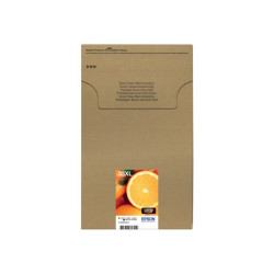 EPSON 4LB Multipack 5-colours 33XL Ink Cartridge Easymail