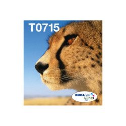 EPSON 2LB EasyMail MP Cheetah DURABrite Ultra CMYK redeal.fr