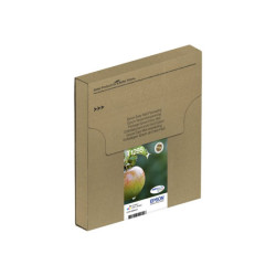 EPSON 2LB T129 Durabrite Ultra Ink EasyMail multipack redeal.fr