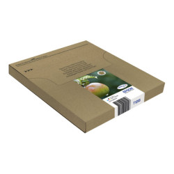 EPSON 2LB T129 Durabrite Ultra Ink EasyMail multipack redeal.fr