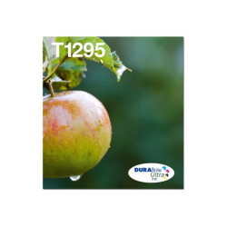 EPSON 2LB T129 Durabrite Ultra Ink EasyMail multipack redeal.fr