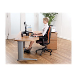 FELLOWES Support Moniteur Plus Smart Suites redeal.fr