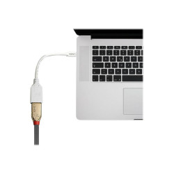 LINDY Câble adaptateur Mini DP M vers DP F Premium blindé redeal.fr