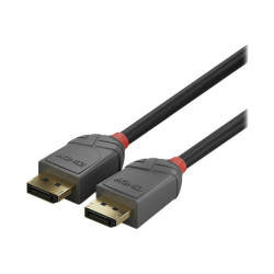 LINDY 10m DisplayPort 1.2 Cable Anthra Line DP Male to Male redeal.fr