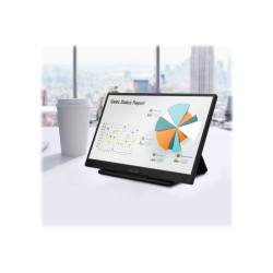 ASUS ZenScreen MB166C 15.6p IPS FHD 1920x1080 Portable Monitor Flicker free USB Type-C Low Blue Light TUV certified