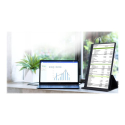 ASUS ZenScreen MB166C 15.6p IPS FHD 1920x1080 Portable Monitor Flicker free USB Type-C Low Blue Light TUV certified