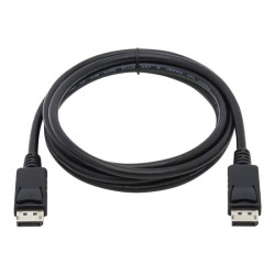 EATON TRIPPLITE DisplayPort Cable with Latches 4K 60Hz M/M 10ft. 3.05m redeal.fr