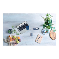 LOGITECH M171 Mouse right and left-handed optical 3 buttons wireless 2.4 GHz USB wireless receiver blue/grey redeal.fr