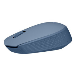 LOGITECH M171 Mouse right and left-handed optical 3 buttons wireless 2.4 GHz USB wireless receiver blue/grey redeal.fr