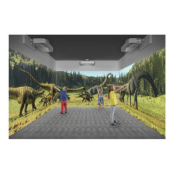 EPSON EB-810E 5000Lm 3LCD 1080p Full HD redeal.fr