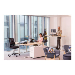 FELLOWES Hana Lt Monitor Riser Black redeal.fr