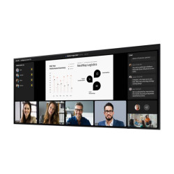 SAMSUNG QPDX-5K 105p 5120x2160/5K 21:9 LED 500nits 4x10W Speakers black DP 1.4 3xHDMI 2.1 CEC USB-C with PD RS232