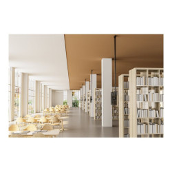 NEOMOUNTS CL35-440BL16XL Support de plafond pour écran de 37-70p - h 250-300 cm redeal.fr