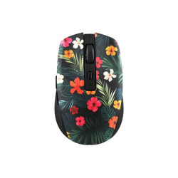 TNB AMAZONIA EXCLUSIVE Wireless mouse redeal.fr