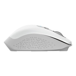 TRUST Souris sans fil OZAA Compact multi-connexion - Blanche redeal.fr