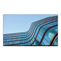 LENOVO ThinkVision E55 LFD 54.6p UHD 8ms 60Hz 400cd/m2 16:9 2xHDMI DP USB-C redeal.fr