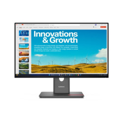 LENOVO ThinkVision P24QD-40 23.8p 2560x1440 IPS 120Hz USB-C docking 140W Daisy Chain KVM/eKVM Factory calibrated panel Mirror