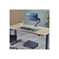 FELLOWES TAPIS SOUS MAIN DE BUREAU SAUGE redeal.fr